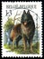 BELGIUM - CIRCA 1986: stamp 13 Belgian franc printed by Belgium, shows animal Belgian Tervueren Canis lupus familiaris, fauna,