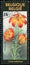 BELGIUM - CIRCA 1990: stamp 3 Belgian franc printed by Belgium, shows flowering plant Lilium bulbiferum, common names Orange lily