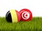 Belgium vs Tunisia. Soccer concept. Footballs with flags on green grass