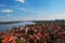 Belgrade landscape from Zemun