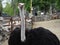 Belgrade, Serbia, April 25, 2021 African ostrich, Masai ostrich, stretched out its neck. The largest of the modern birds