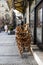 Belgrade, Serbia - March 23, 2021: Empty cafes and restaurants in Belgrade due to coronavirus quarantine