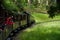 Belgrave vintage steam railway carry tourists through the fores