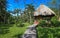 Belize\'s Cotton Tree Lodge