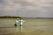 A Belizean fishing guide pointing out the school of bonefish to the  fly fisherman