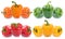 Bell pepper colorful peppers collection paprika paprikas vegetable food isolated on white