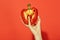 Bell pepper in hand of woman hold sweet paprika, heart