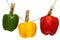 Bell pepper hanging on rope