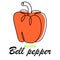 Bell pepper. One line vegetables collection. Natural plant cooking raw ingredient. Healthy vegan nutrition. Vitamin