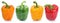 Bell pepper paprika collection side view in a row vegetables iso