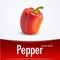 Bell pepper, vector illustration paprika.