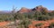 Bell Rock Trail scene in Sedona, United States 4K