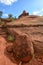 Bell rock vortex in Sedona