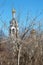 The bell tower of an Orthodox church in Moscow behind thickets of bushes against a blue sky