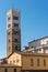 Bell Tower of San Martino Cathedral - Lucca Italy