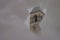 Bell tower of a village church hiding behind a hole in the snow in winter environment. Church of  San Rocco in Vodo di Cadore