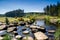 Bellever Forest And Dart River on Dartmoor National Park in Devo