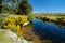 Bellever Forest And Dart River on Dartmoor National Park in Devo