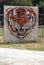 Belleville High School`s picture at Belleville High Schooli