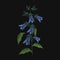 Bellflower embroidered with blue and green threads on black background. Gorgeous embroidery design with wild blooming