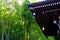 The bells on the roof of traditional wooden building Hesederas Kyozo in Hase-dera temple. Green