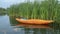 Bellyak prone kayak in reeds at lake shore