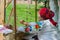 Belorussian craftswoman works at the loom