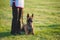 Beloved dog-breed Belgian shepherd dog is lying next to a man at his feet