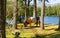 Belted Galloway cow breed of cattle