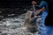 Beluga dolphin in aquarium playing with trainer