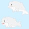 Beluga illustration in cartoon shape