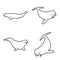 Beluga Whale Animal Vector Illustration Hand Drawn Cartoon Art