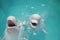Beluga whales (white whale) in water