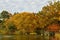 Belvedere Lake in Central Park in Manhattan, New York City. Picturesque golden autumn