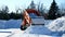 BEMIDJI, MN - 6 MAR 2019: Dump truck empties box of snow and front end loader moves snow.