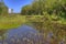 Bemidji State Park on Lake Bemidji