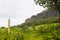 Ben Bulben mountain in County Sligo seen from the East