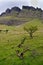 Ben Bulben rock formation in County Sligo cstam costam