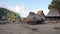 Bena a traditional village with grass huts of the Ngada people and two chickens on the square in Flores.