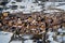 Benasque village aerial in Huesca Pyrenees Spain