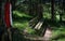 Bench along a forest hiking path in the Austrian Alps with a blurred path sign painted on a tree trunk, Mieminger Plateau, Tirol,