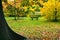 Bench along lake in autumn