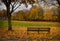 bench autum leaves