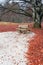 Bench on autum in park under tree