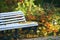 Bench in the autumn forest, park