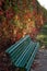 A bench in the autumn garden