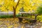 Bench in the autumn park. Finland Kotka Europe autmn