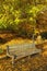 bench in Autumn season with colorful foliage and trees.