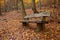 Bench in an autumnal wood