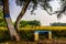 Bench Beneath A Tree beside Farming Land